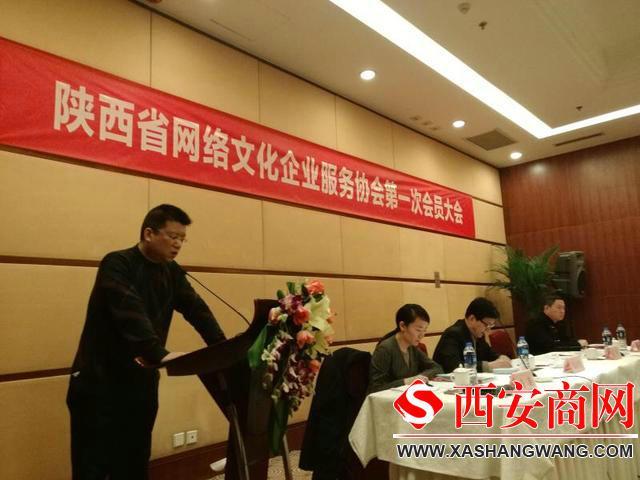 陕西省网络文化企业服务协会成立